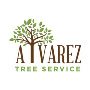 alvarez denham springs tree service logo design