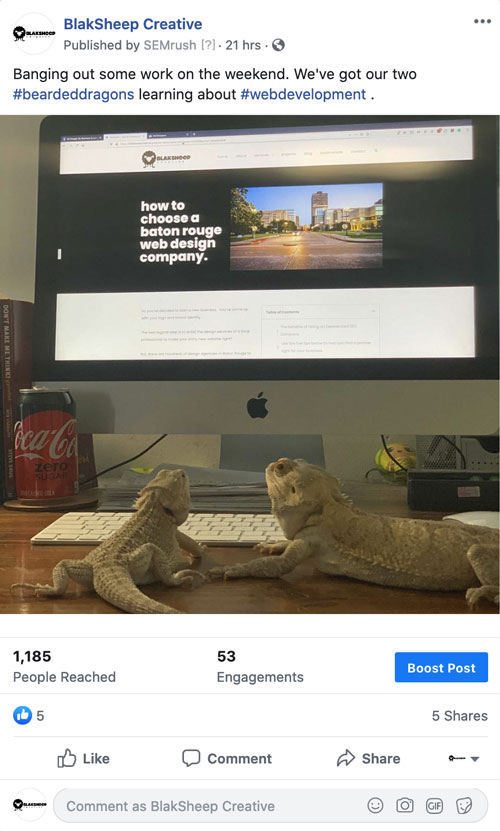 blaksheep creative social media marketing baton rouge screenshot