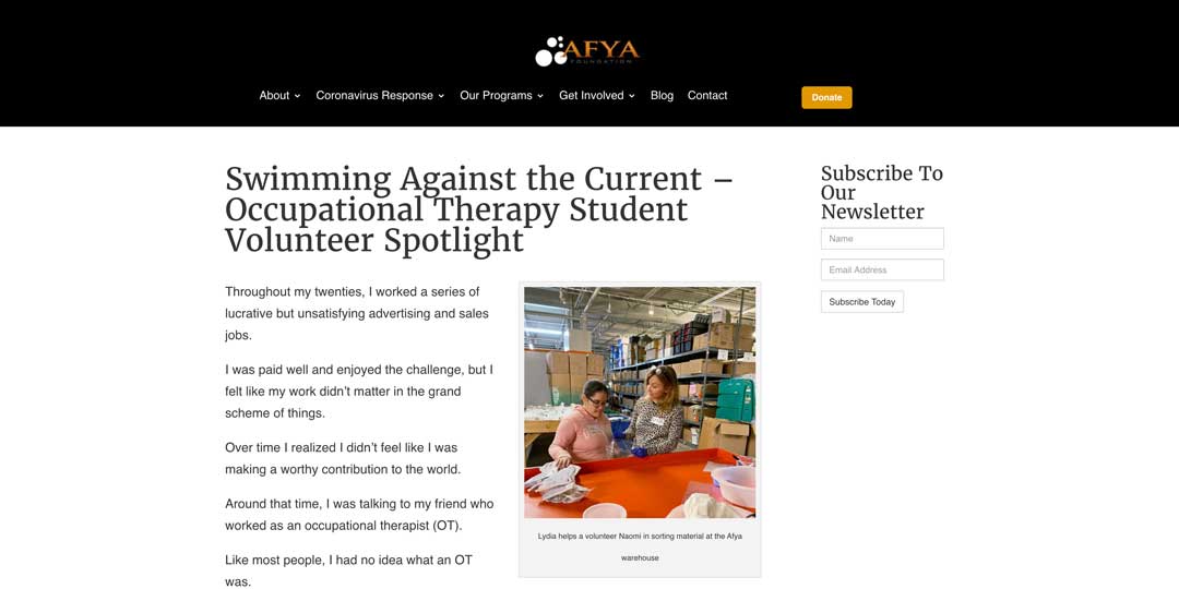 blog post idea volunteer highlight