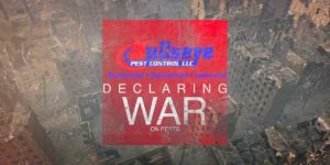 bullseye pest control introduction video still 1