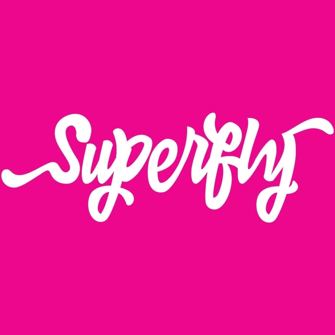 buperfly divi child theme logo