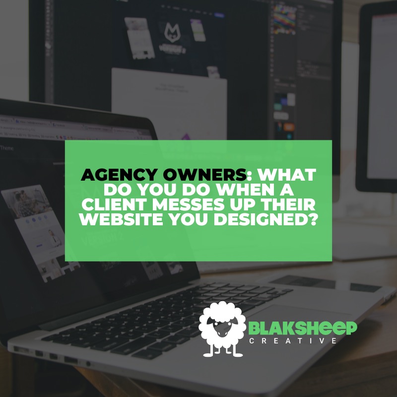 client messes up website