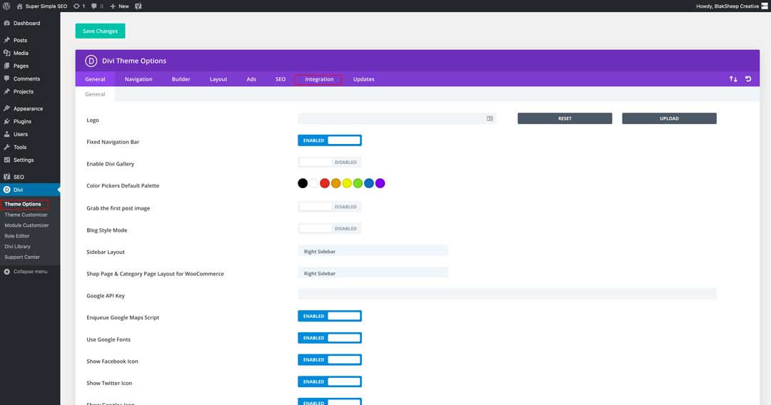 divi theme options how to add google tracking code