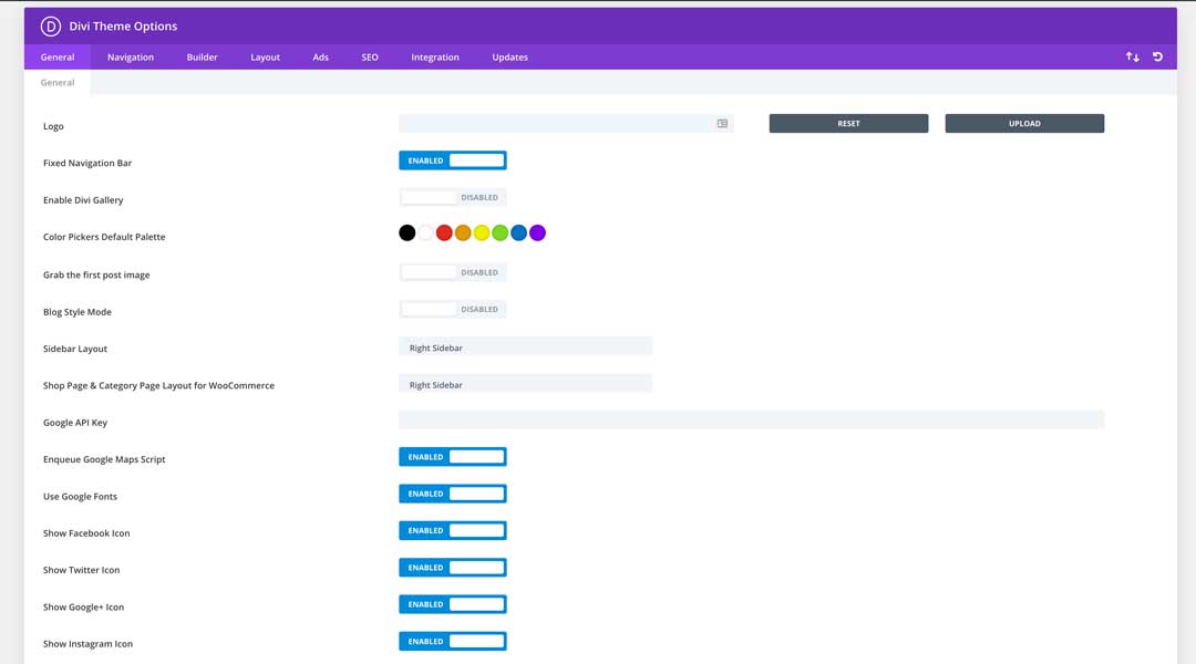 divi theme options wordpress builder