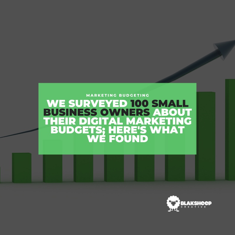 marketing budget survey 2022
