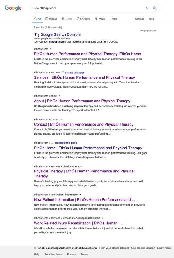 pages indexed on google for ethospt dot com