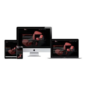serpbully podcast website design project denham springs