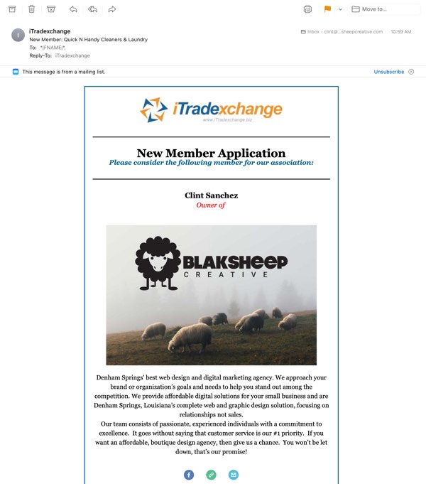 tradexchange web designer blaksheep creative