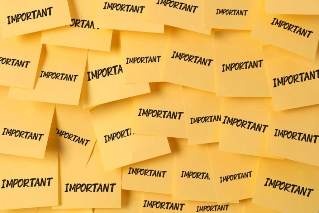web design probono client priority