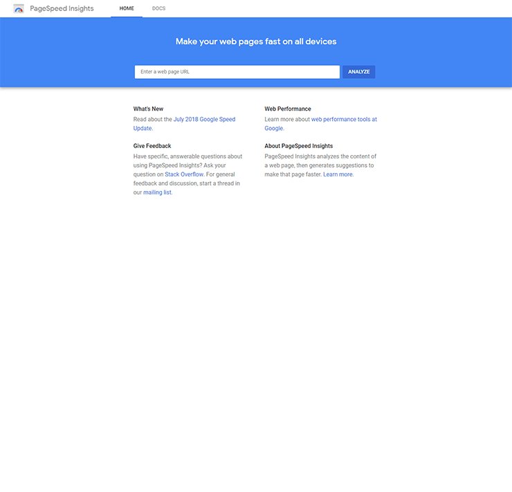 pagespeed insights screenshot small 740x711 1