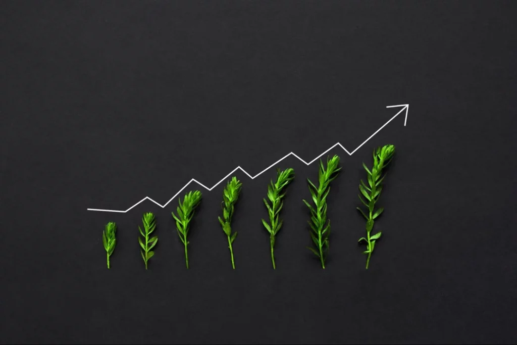 christmas tree branches in a graph increasing