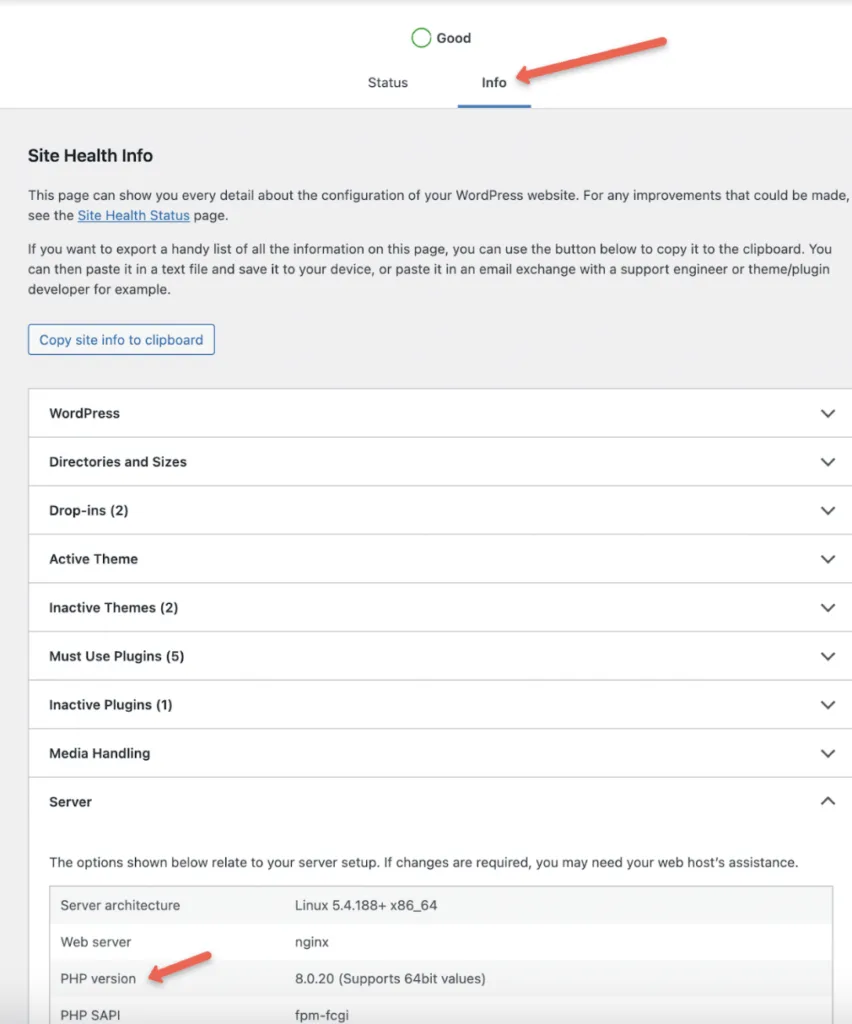 view php wordpres site health