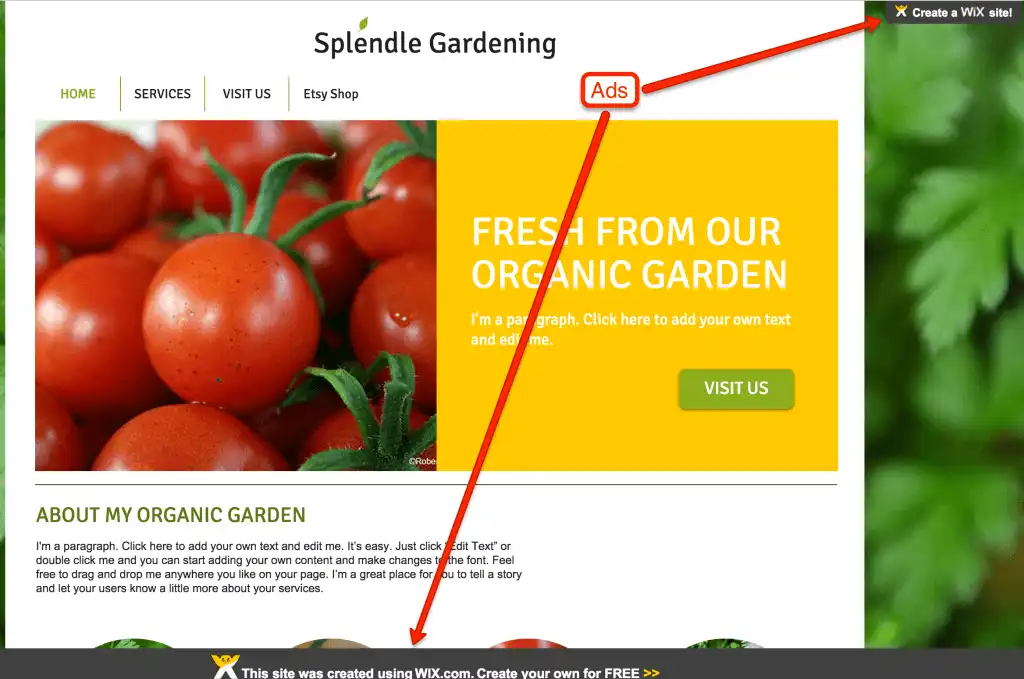 wix not for business remove ads